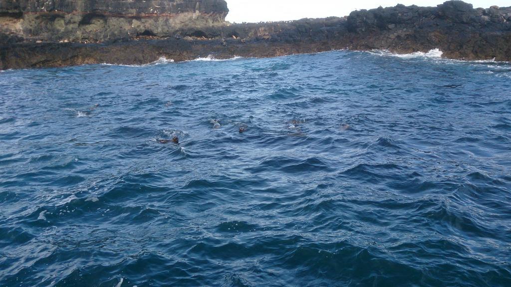Phillip Island Cottages Cowes Exteriör bild